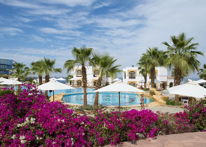 Amphoras Blu Ultra (Adults Only)